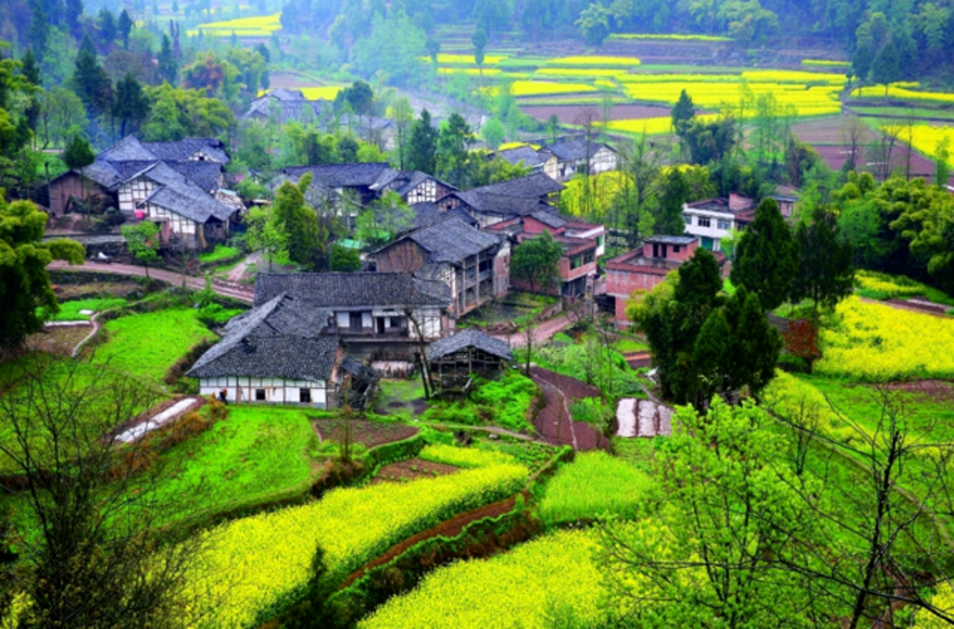 伴游天下旅游